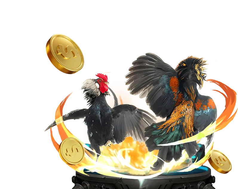 Tổng quan về đá gà trực tuyến 789win.com